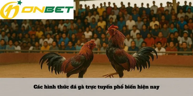 Các hình thức đá gà trực tuyến phổ biến hiện nay
