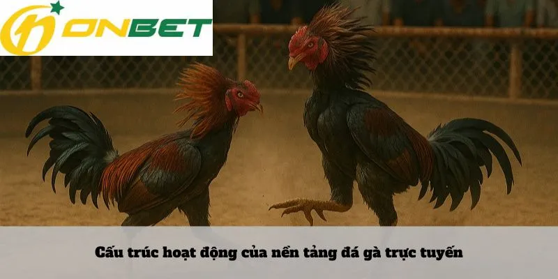 Cấu trúc hoạt động của nền tảng đá gà trực tuyến