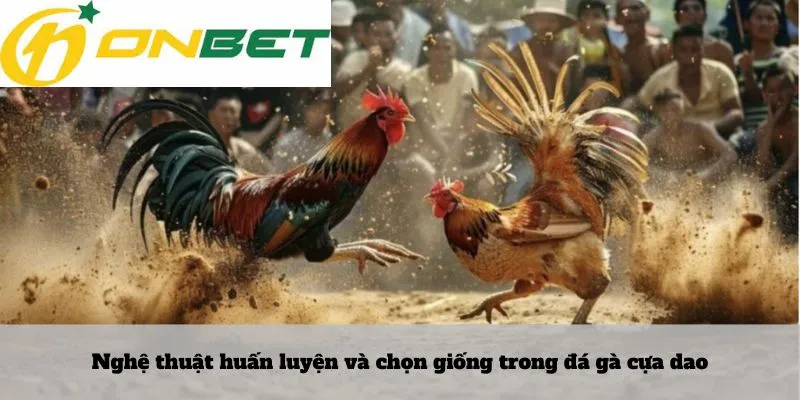 Lô rơi là gì 7 Nghệ thuật huấn luyện và chọn giống trong đá gà cựa dao