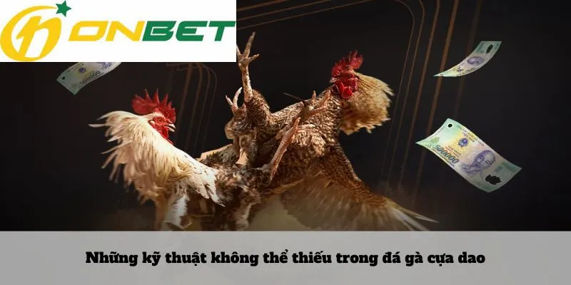 Lô rơi là gì 6 Những kỹ thuật không thể thiếu trong đá gà cựa dao