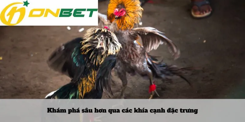Khám phá sâu hơn qua các khía cạnh đặc trưng