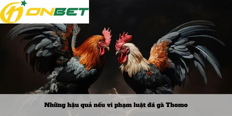 Lô rơi là gì 7 Những hậu quả nếu vi phạm luật đá gà Thomo