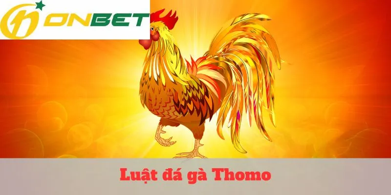luật đá gà Thomo